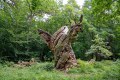 Jaegerspris-Alte-Eichen-Snoegen_20.08-13