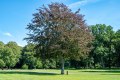 Jaegerspris-Schloss_15.08-15