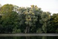 6-Giganten_23.08-15