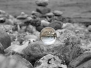 Lensball