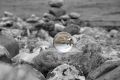 Der Skulpturpark aus Stein am Klint Strand