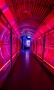 Las-Vegas_S-127
