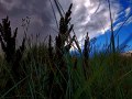 Odder-06_08-9