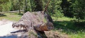 Yellowstone_S-20