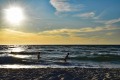 Roervig-Strand-16_07_19-6