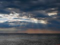 Roervig-Strand-26_07_19-3