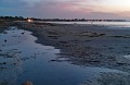 Starreklinte_09.08-4