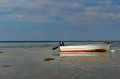 Starreklinte_10-4