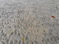 Starreklinte_10-8