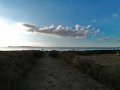 Starreklinte_Handy-12