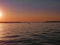Starreklinte_Handy-7