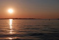 Starreklinte_Handy-8