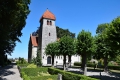 Stevns-Klint-18_07_19-1