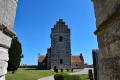 Stevns-Klint-18_07_19-10