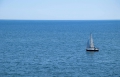 Stevns-Klint-18_07_19-15