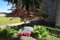 Stevns-Klint-18_07_19-2