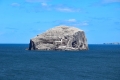 30_7_18_Bass rock (1)