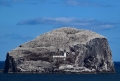 30_7_18_Bass rock (2)