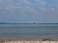 Tuno-18_08-11