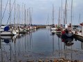 Tuno-18_08-13