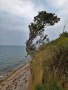 Tuno-18_08-6