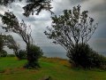 Tuno-18_08-7