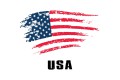 USA-Flag-Logo-Design-Graphics-71091287-1