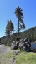 Yellowstone_D-13