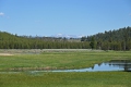 Yellowstone_D-2