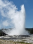 Yellowstone_D-31