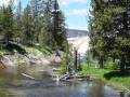 Yellowstone_D-43