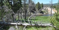 Yellowstone_D-45