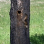 Yellowstone_D-47