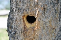 Yellowstone_D-49