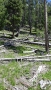 Yellowstone_D-59