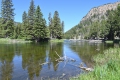 Yellowstone_D-6