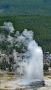 Yellowstone_D-77