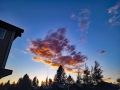 Yellowstone_E-21
