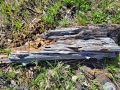 Yellowstone_E-28