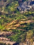 Yellowstone_E-30