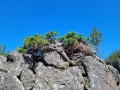 Yellowstone_E-35
